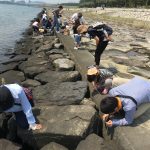 【持ち物リスト】葛西臨海公園でカニ釣り！週末や連休のお得な楽しみ方