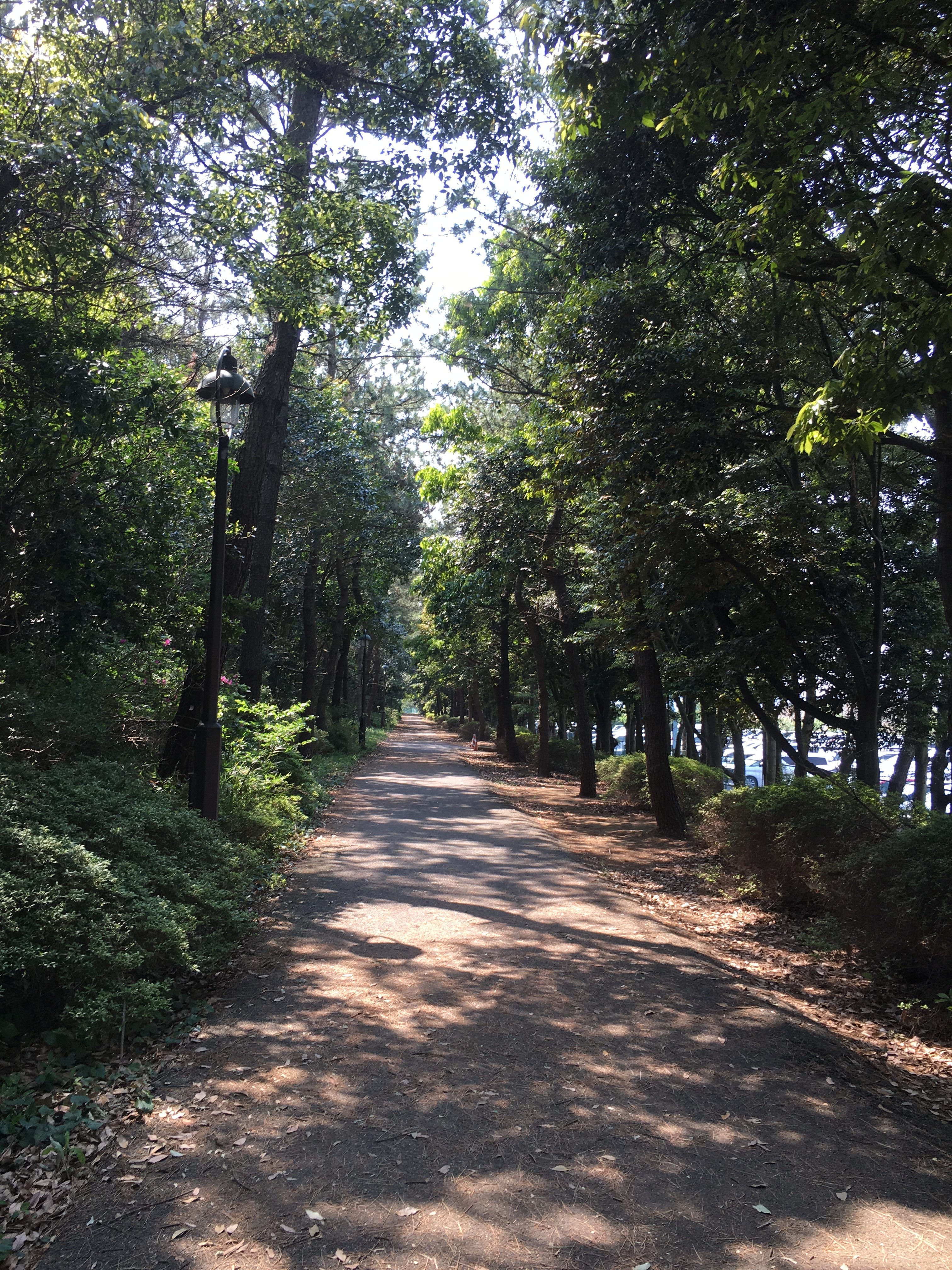 持ち物リスト 葛西臨海公園でカニ釣り 週末や連休のお得な楽しみ方 積立ガール 勝手にコツコツ投資信託